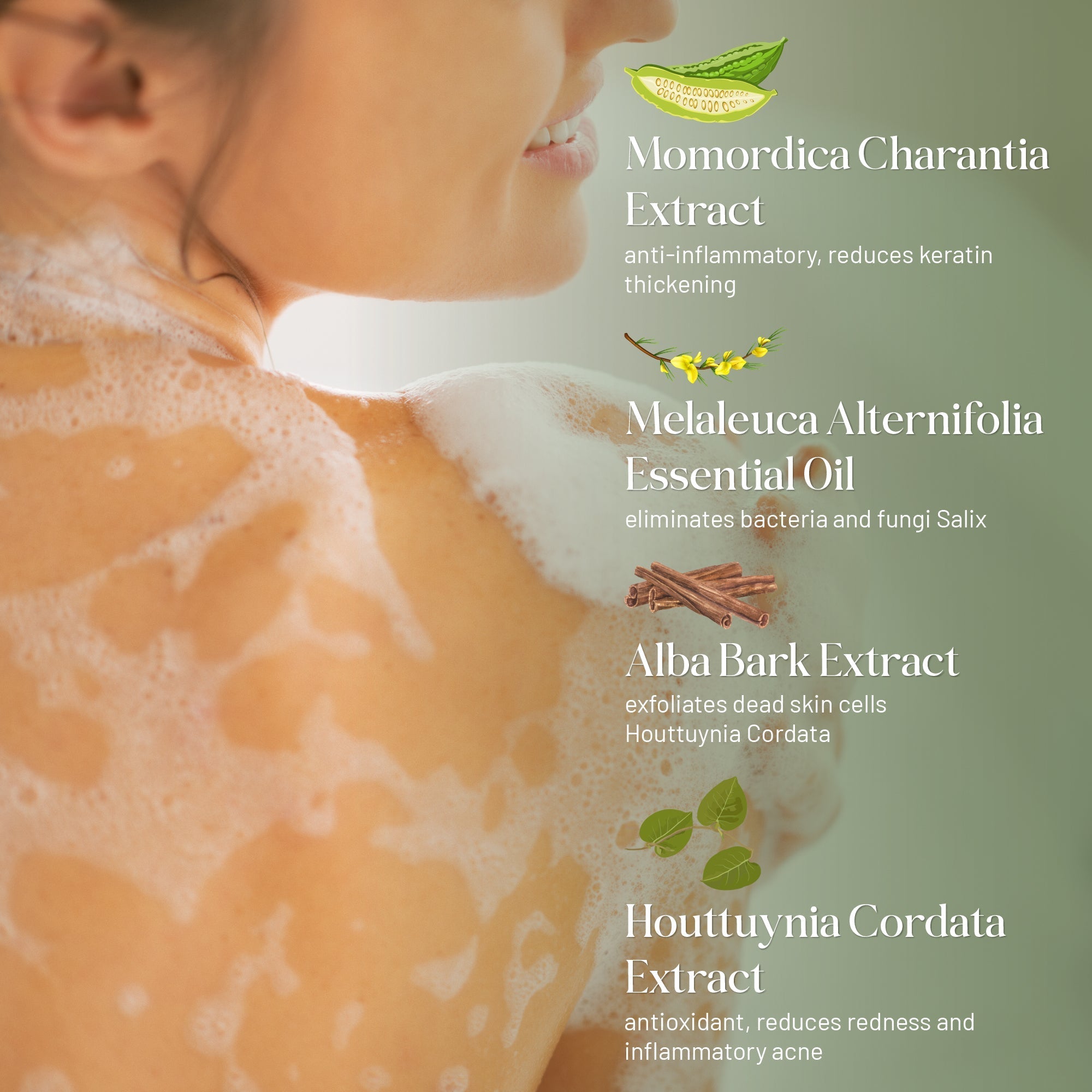 ABERA Bitter Melon & Tea Tree Body Wash | Shower Gel for Men and Women – Moisturizing & Soothing Formula - ABERA SHOP